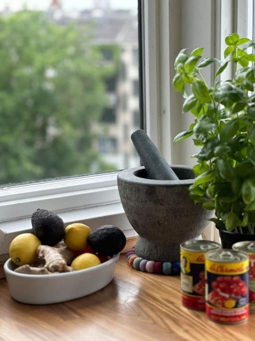 Penthouse Med Egen Tagterrasse * Copenhagen