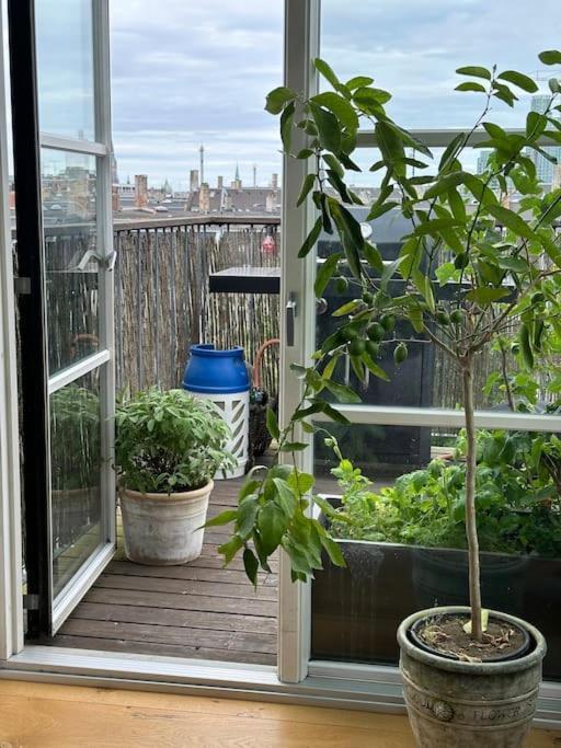 Penthouse Med Egen Tagterrasse * København